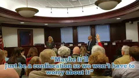 Illinois State Senator Julie Morrison suggests con...