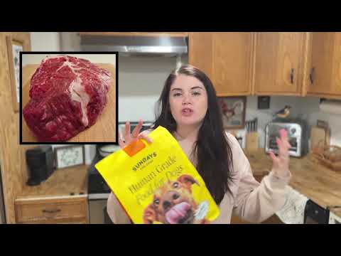 Sundays For Dogs YouTube ad: Sundays Isn't Your Typical Dog Food