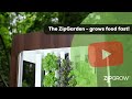 The ZipGarden - the small hydroponic system that grows food fast!