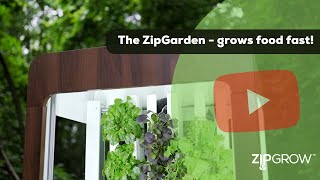 The ZipGarden - the small hydroponic system that grows food fast!