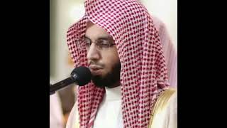 سورة محمد | أنس الميمان