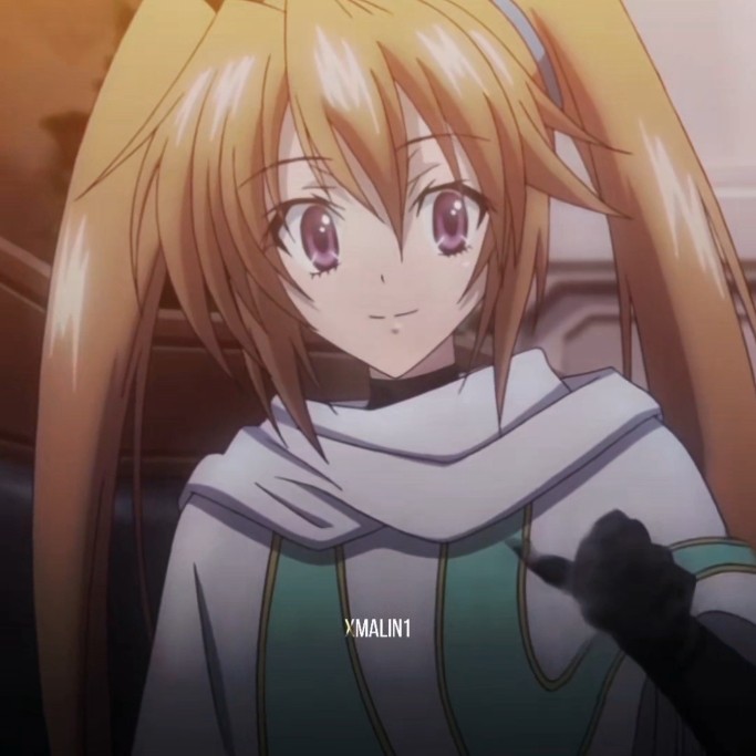 Me and bro #highschooldxd #dxd #xenoviaquarta #irinashidou #anime