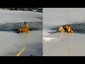 Dog Falls Through Icy Lake, Gets Rescued By Brave Police Officer