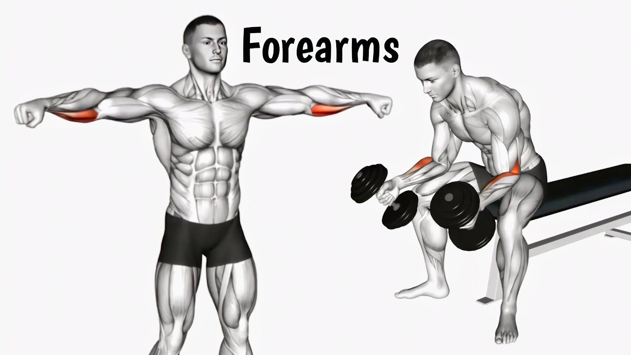 Best Exercises How Build a Massive FOREARMS | - YouTube