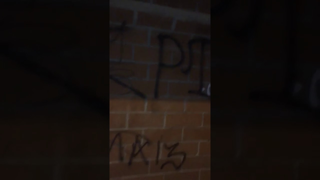 E/s Pacoima Terra Bella Street 13(PTBSTX3) YouTube