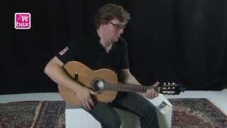 Download Lagu Akoestische Gitaar Startersset - Perez 610 Cedro set MP3