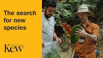 The search for new species