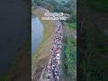 Sherman Ali Ahmed nomination rally #dronevideo #election #vote