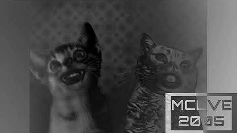 (Fixed) Preview 2 Numa cat effects (sponsored by preview 2 effects) in unhaunt