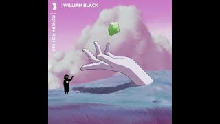 William Black - Remedy (Feat. Annie Schindel) (ROY KNOX Remix) (Lyrics Video)