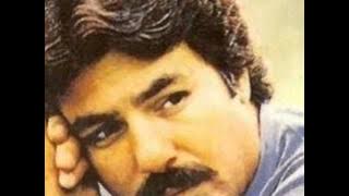 Ferdi Tayfur - Alıştım ( Zaman Tüneli I )