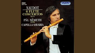 Concerto in D major (D-dúr concerto) , Allegro