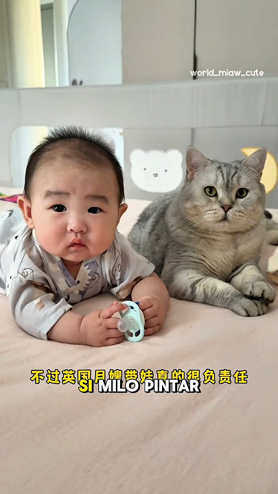 Similo takes care of Debay😻 #cat