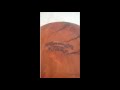 big nut and bolt made of epoxy filled redgum burl
