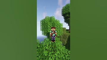 Minecraft resource pack crop 3D | Invisible item frame | download now #shorts