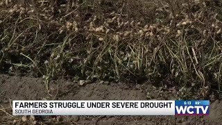 South Georgia farmers struggle under severe drought