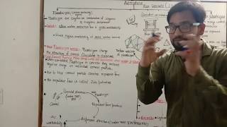 Part 1 ! Admixture in concrete ! Plasticizer ! Super plasticizer ! Admixture lecture screenshot 3