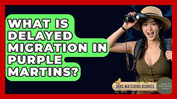 What Is Delayed Migration In Purple Martins? - Bird Watching Diaries