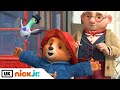 The Adventures of Paddington | Finding Pigeonton a New Home! 🏠 | Nick Jr. UK