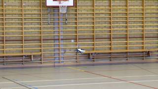 Yrfk Tesflygning Align T-Rex 450