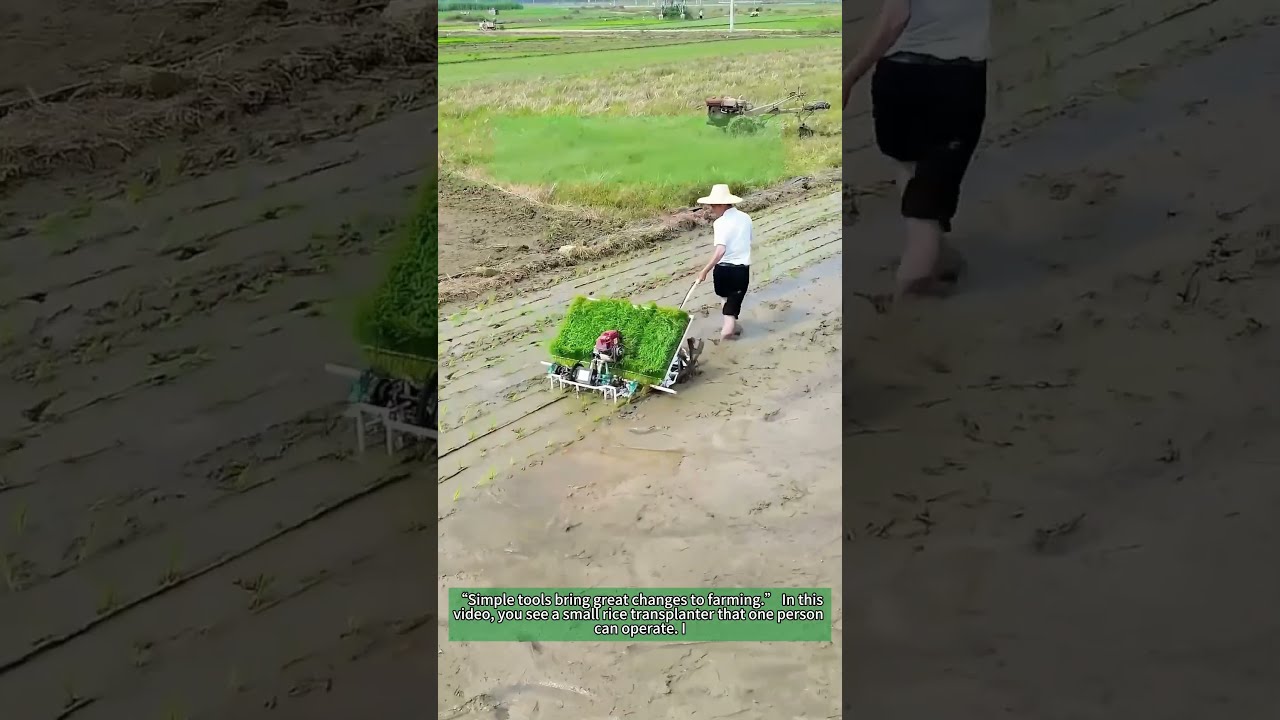 Small Rice Transplanter