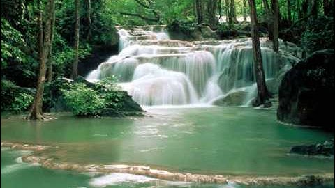 تلاوة جميلة جدا بصوت الشيخ تركي رميح !!