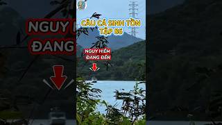 Câu cá sinh tồn tập 86 #shorts #fishing #cauca #caucagiaitri #haihuoc #lure