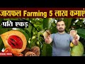 जायफल की खेती | 5 lakh per acre | Nutmeg Farming | jaifal ki kheti | javitri farming | mace farming