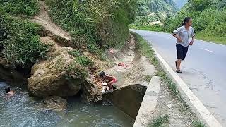 Coj Me Nyuam Mus Da Dej Lom Zem Kaws Li