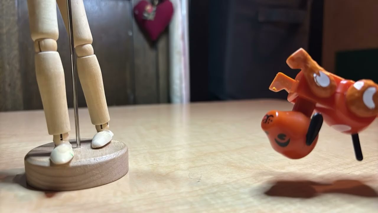 That dumb dog stole my credit card!!!