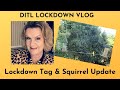 DITL Vlog: Lockdown Tag & Squirrel Update