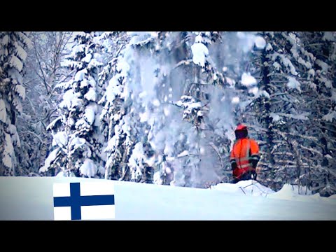 Video: Finland: befolkning. Finland og dets største byer