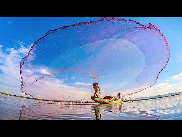 Amazing Cast Net Fishing Skill Catch Tons of Big Fish - Traditional Net  Catch Fishing in The River 