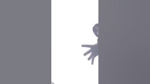 Drop test for Griffin survivor case (iPod 5)