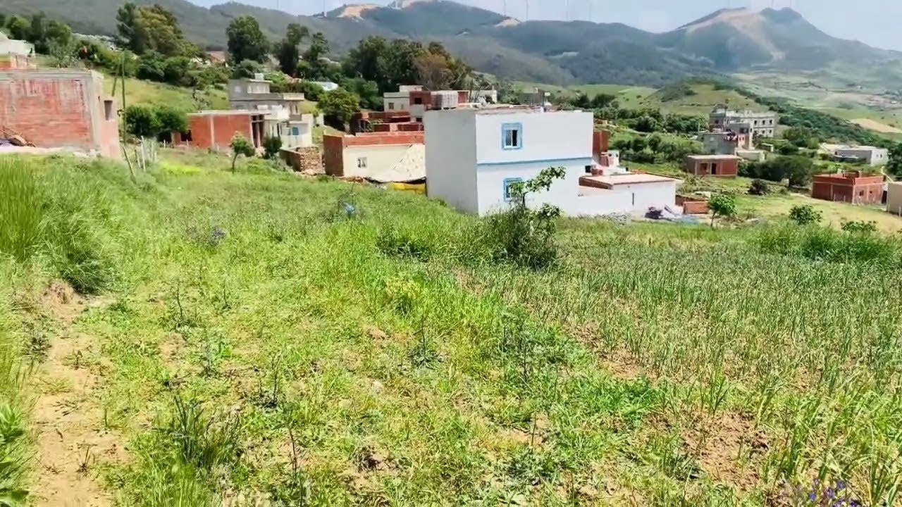 قطعة ارضية همزة في نواحي طنجة منطقة ملوسة 1000متر الضو والما واصل باتمن مناااسب0673742717