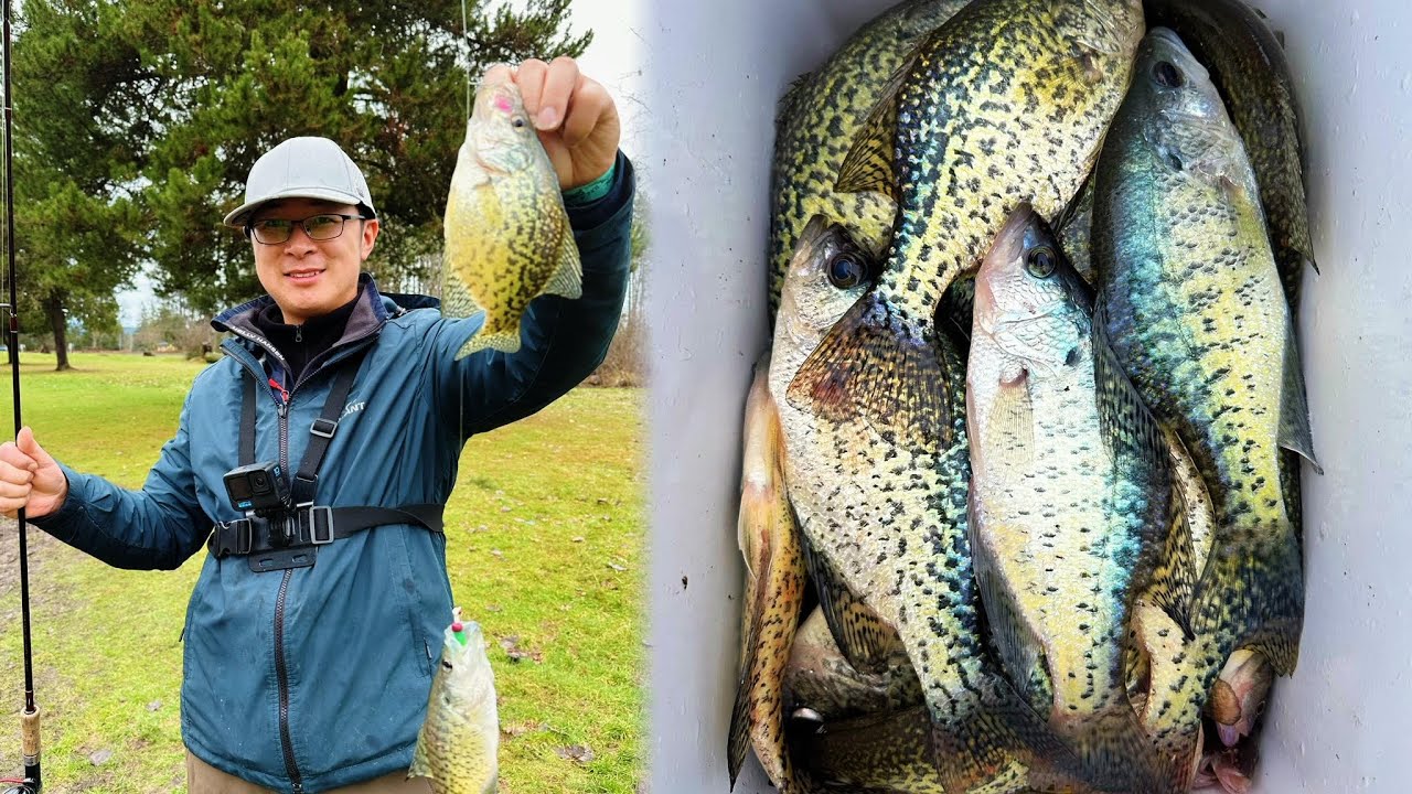 Bank fishing for Crappie in the winter with bobber and jig
