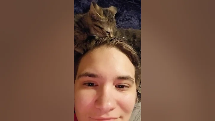 How to Properly Groom Your Human..A Demonstration