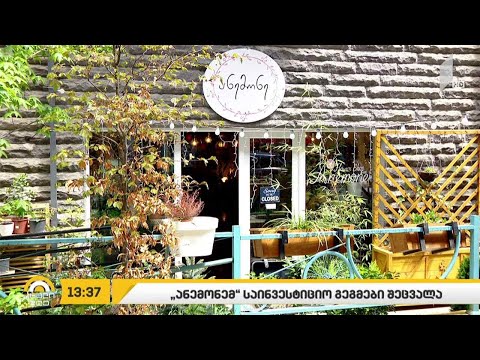 საქართველოში საზღვაო სეზონი ჩავარდნის პირასაა