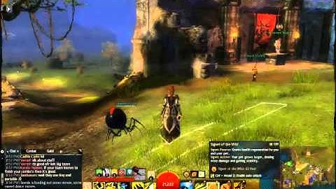 Guild Wars 2 Ranger Leveling Guide