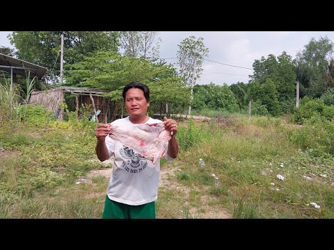 Video ăn nai nướng - youtube
