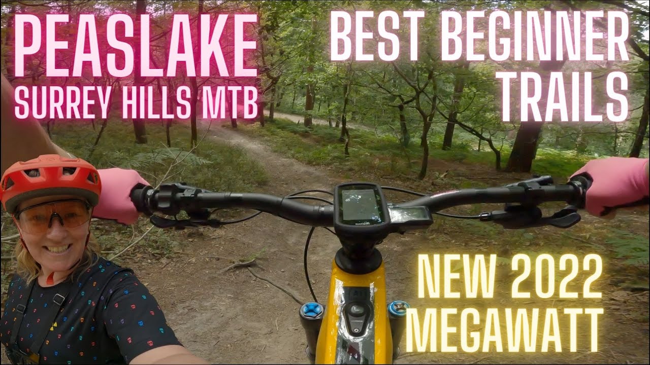 Peaslake Best Beginner Trails