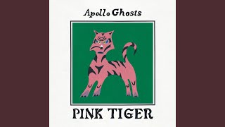 Soft American screenshot 4