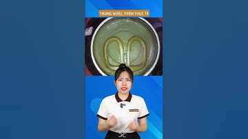 Nước đun sôi có cặn trắng liệu có gây bệnh tật