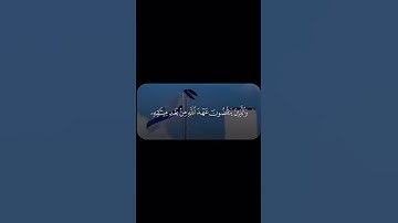 فلسطين حره 💔#فلسطين #غزة #الاردن #قرآن #تلاوة_خاشعة #خشوع #انقذو_غزه #اكسبلور