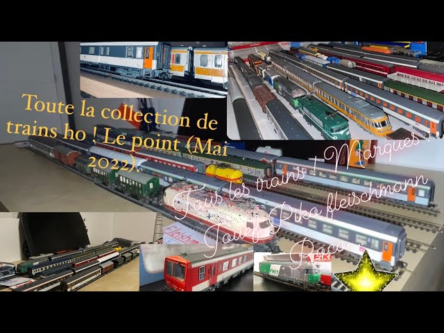 VIDÉO. Pornic : ces passionnés de trains miniatures veulent créer une association VIDÉO. Pornic : ces passionnés de trains miniatures veulent créer une association