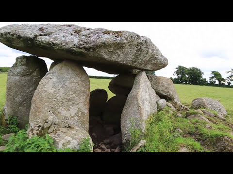 West Wicklow Ancient Roots