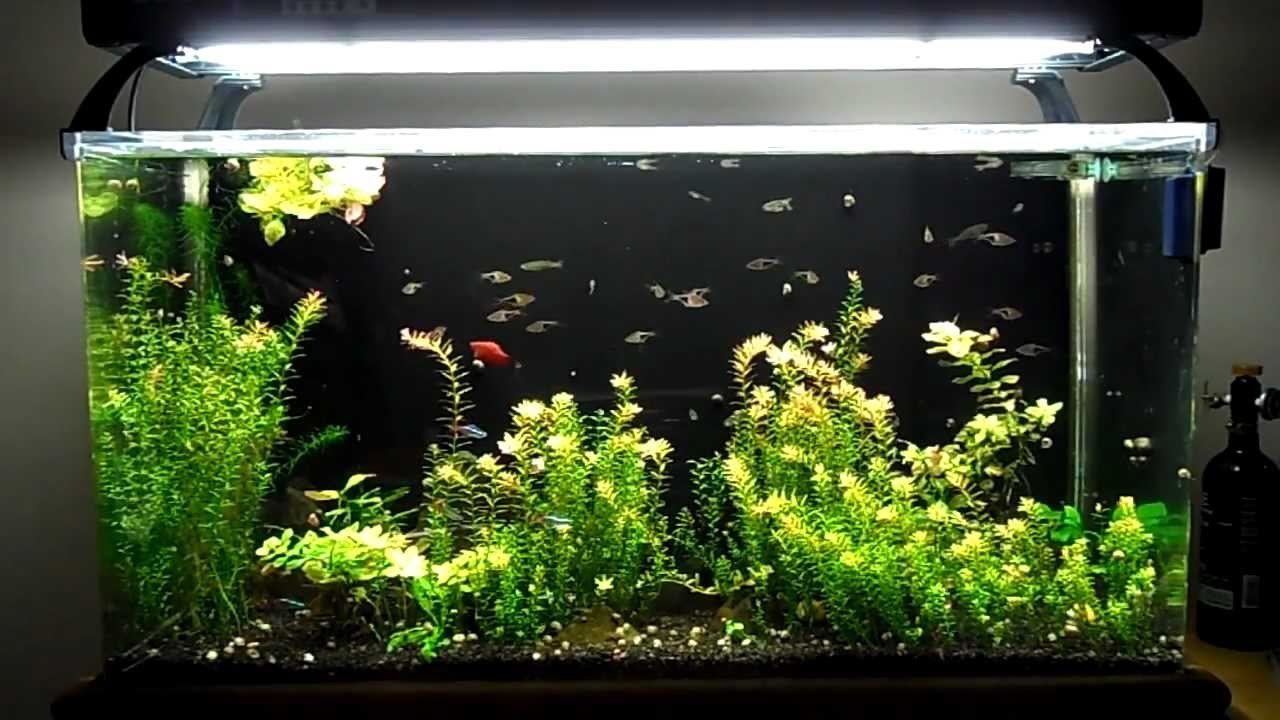 SeaClear System II Update 7 New Lights - YouTube