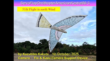 サーボ駆動羽ばたき機  SFOAmericanKestrel86-3 31g: 51th Flight in north Wind