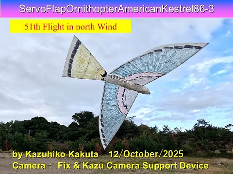 アマルガム　翼　SSP BT】戦姫絶唱シンフォギアXV 商品検索 | ドラゴンスター