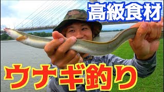 川にミミズを投げたらウナギが釣れた！！